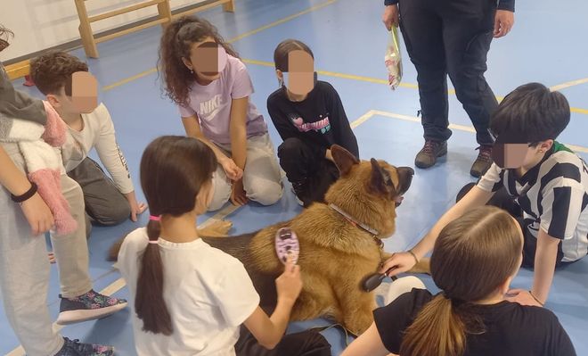 È partito il progetto di Pet Therapy nelle scuole di Viggiù