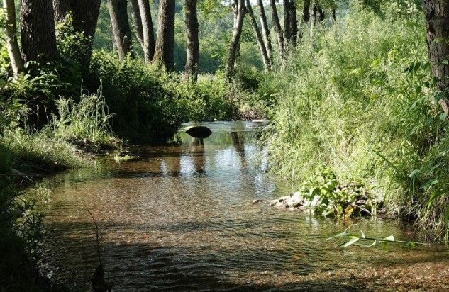 Il parco della Bevera
