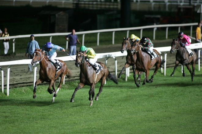 In undici per il Gran Premio Città di Varese Memorial Carlo Curti e Trofeo CFO In undici per il Gran Premio Città di Varese Memorial Carlo Curti e Trofeo CFO