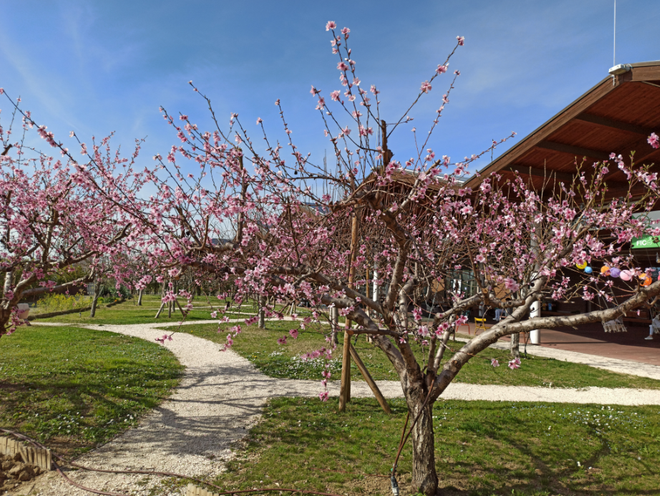 A FICO una "sosta gustosa" per scoprire tutta l’Italia  del cibo tra attrazioni, eventi e giardini urbani