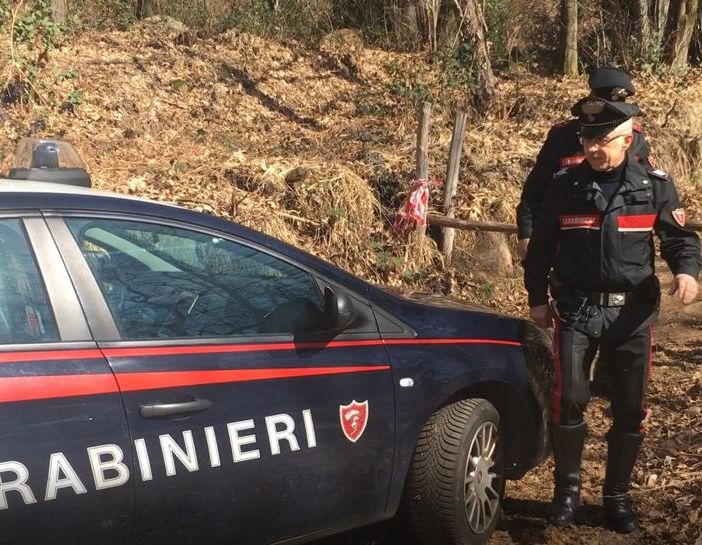 Spaccio nella &quot;rete verde&quot; dei boschi di Cugliate Fabiasco: due uomini arrestati dai carabinieri