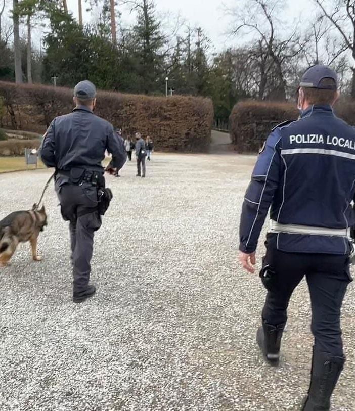 Parchi di Varese più sicuri: controlli anti droga con polizia locale e unità cinofile della Guardia di Finanza