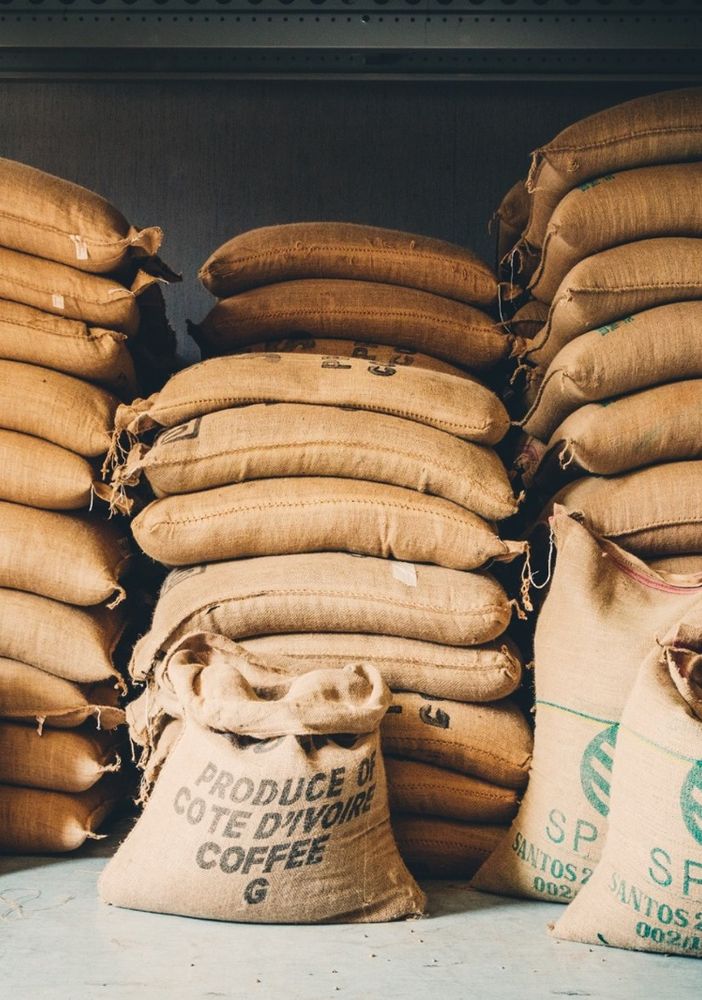 Quando bere il caffè diventa cultura: «Migliorare le proprie abitudini significa diventare più sostenibili»