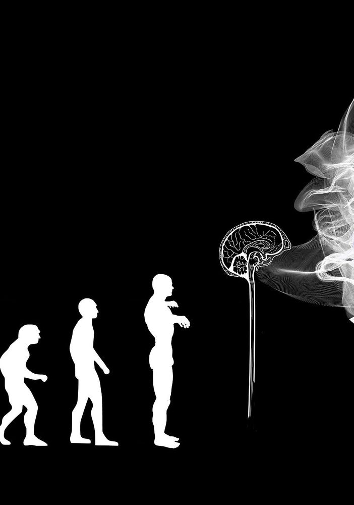 I bias cognitivi: conoscerli per riconoscerli