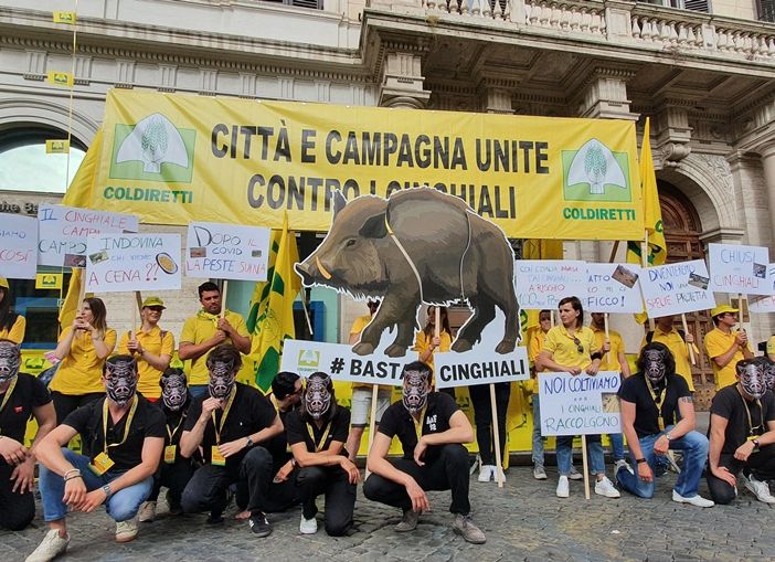 Il flash mob di Coldiretti di oggi a Roma contro i cinghiali