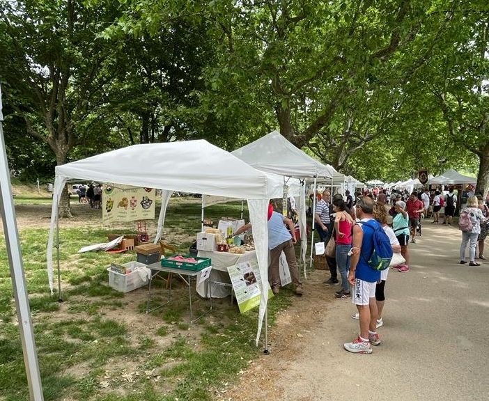 CHE FARE NEL WEEKEND - Tre giorni tra fragole, asparagi, escursioni e laboratori per bambini