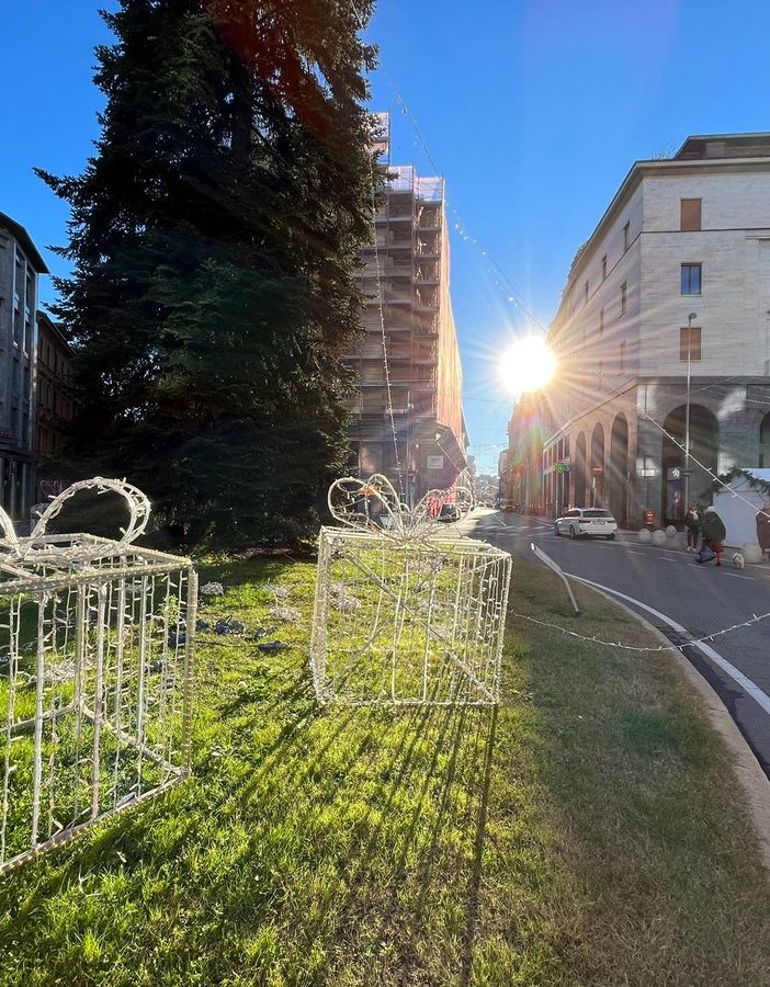 FOTO. Il Natale varesino scalda i motori: al via l'allestimento dell'albero in piazza Monte Grappa. Dal fine settimana sarà magia