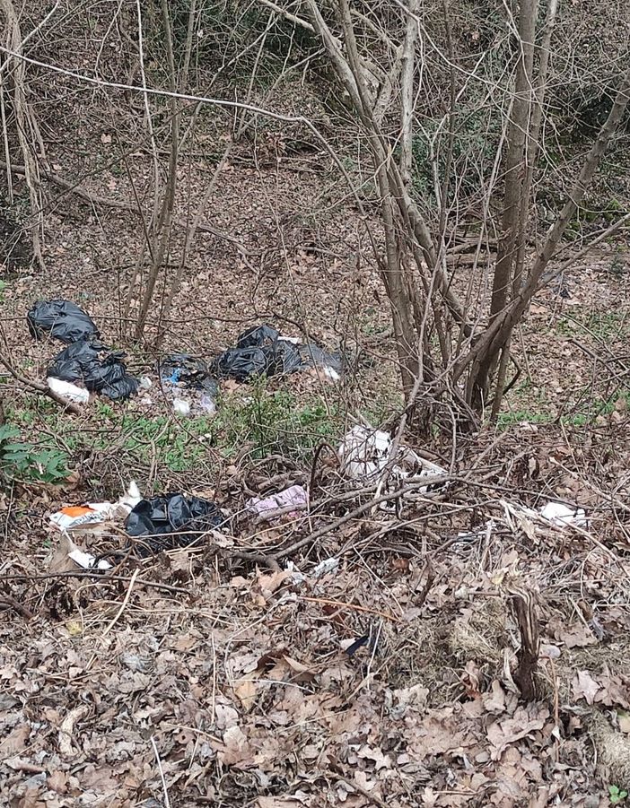 Spazzatura tra i boschi di Casbeno: discarica denunciata in via Toti