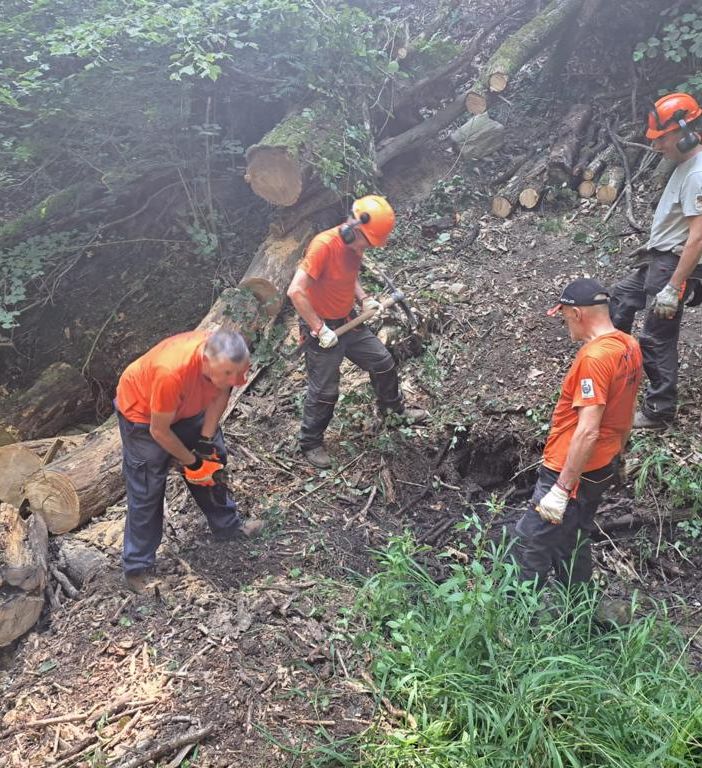 Il territorio di Comerio più pulito e sicuro grazie al gruppo antincendio boschivo