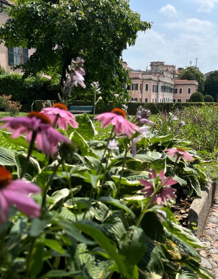 Primavera alle porte, sole in arrivo sul Varesotto: «Domani clima mite e temperature fino a 20 gradi»