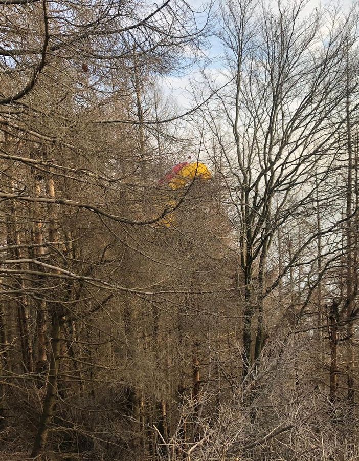 La vela del parapendio impigliata tra i rami. Sotto: i vigili del fuoco sul posto