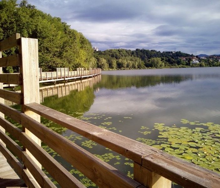 Sul lago di Comabbio una camminata per dare voce a chi non ne ha