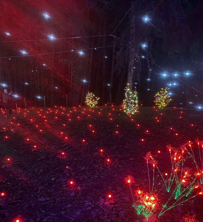 L'idea più bella delle feste: visitare le lucine di Leggiuno. Orari, biglietti e aperture
