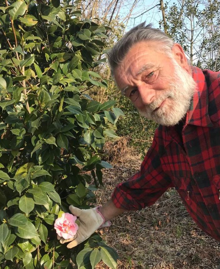 Enrico Gasparini nel suo Labirinto delle Camelie di Laveno