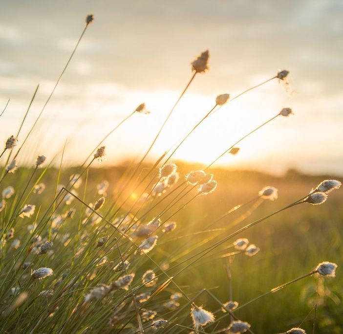 Dall'estate si torna in primavera: vento, temperature &quot;giuste&quot; e maggiore variabilità