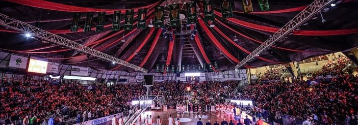 Vengono dal territorio e sono pronti a entrare: ci sono nuovi soci per la Pallacanestro Varese