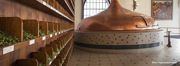 (foto dalla pagina Facebook dell'azienda) (foto dalla pagina Facebook dell'azienda)