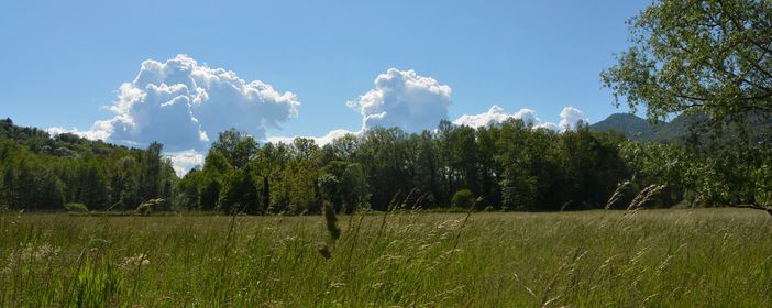 (Foto Paolo Valisa - CGP) (Foto Paolo Valisa - CGP)