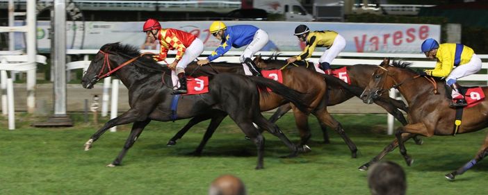 Ippica: volete provare a vincere il Gran Premio Città di Varese? Ecco qualche dritta per la corsa dell'anno