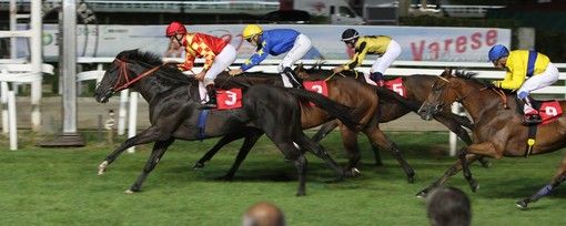 IPPICA. Domani l'atto finale alle Bettole con il 69° Gran Premio Città di Varese. Tutti i partenti e l'analisi della corsa