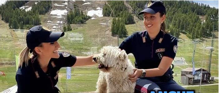 «Vacanze sì, abbandoni no»: la Polizia di Stato lancia la campagna contro chi si libera degli animali «Vacanze sì, abbandoni no»: la Polizia di Stato lancia la campagna contro chi si libera degli animali