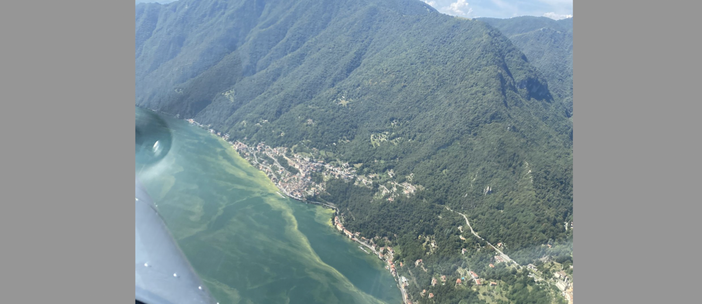 Fioritura anomala delle alghe nel Ceresio Fioritura anomala delle alghe nel Ceresio
