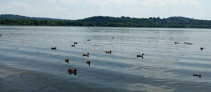 Scorcio del lago di Varese