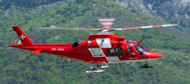 Diciassettenne travolto da un albero: è grave Diciassettenne travolto da un albero: è grave