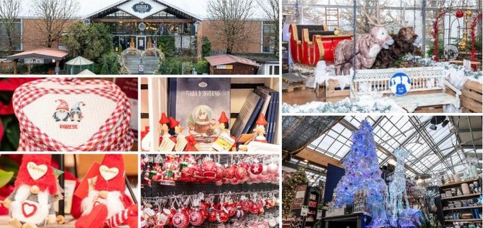 È arrivato il Natale all'Agricola Home & Garden, sul lungolago di Varese in via Pisna 1 È arrivato il Natale all'Agricola Home & Garden, sul lungolago di Varese in via Pisna 1