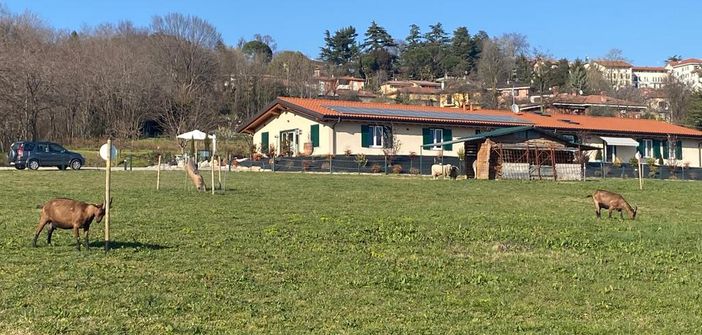 FOTO - Ai confini del mondo… sotto viale Europa. La Varese che non ti aspetti alla Gaggina