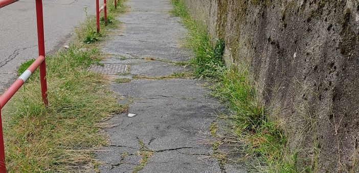 Binelli (Lega) denuncia la situazione in via Frattini: «Pedoni a rischio per i marciapiedi colabrodo»