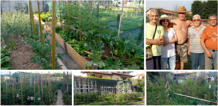 Gli orti urbani di via Santa Maria Maddalena a Bizzozero: quelli coltivati grazie al duro lavoro e alla passione di un gruppo di persone che sono diventati anche amici sono uno spettacolo, gli altri non assegnati o abbandonati con erba alta un po' meno...