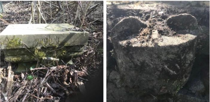 Dai boschi della Rasa spunta un’antica tomba (FOTO E VIDEO)