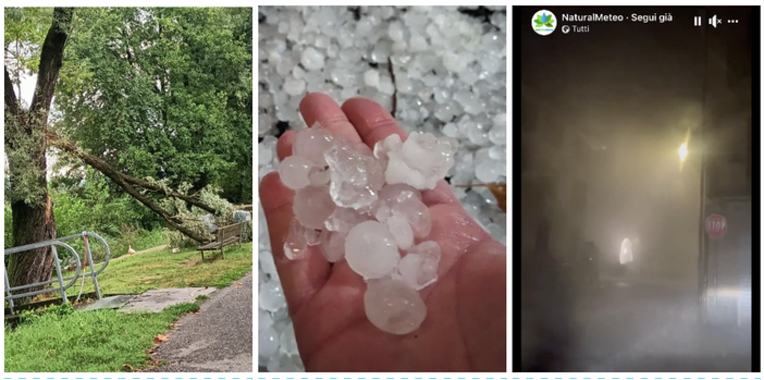 Da sinistra: un albero caduto a Gaivate, la grandine di Saronno e un fermo immagine di un video di Natural Meteo che documenta il forte temporale di stanotte a Leggiuno Da sinistra: un albero caduto a Gaivate, la grandine di Saronno e un fermo immagine di un video di Natural Meteo che documenta il forte temporale di stanotte a Leggiuno