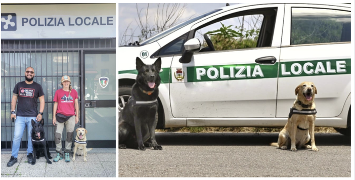 Un seminario per operatori delle forze dell'ordine: unione tra uomini e cani nella lotta al crimine