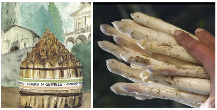 (foto da La Varese Nascosta (foto da La Varese Nascosta