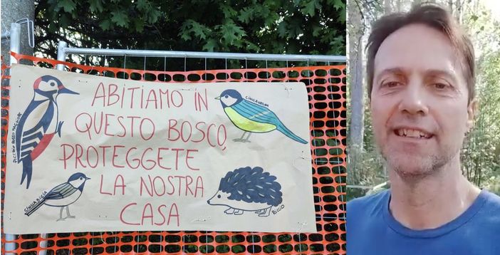 Il "papà" dei ricci in difesa del bosco di Gallarate: «Gli animali sono parte di un patrimonio da proteggere» Il "papà" dei ricci in difesa del bosco di Gallarate: «Gli animali sono parte di un patrimonio da proteggere»