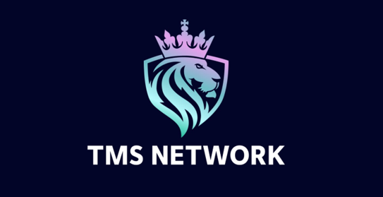 Anche se il boom dell'industria GameFi fa crescere Decentraland (MANA) e Shiba Inu (SHIB), gli investitori si riversano su TMS Network (TMSN)