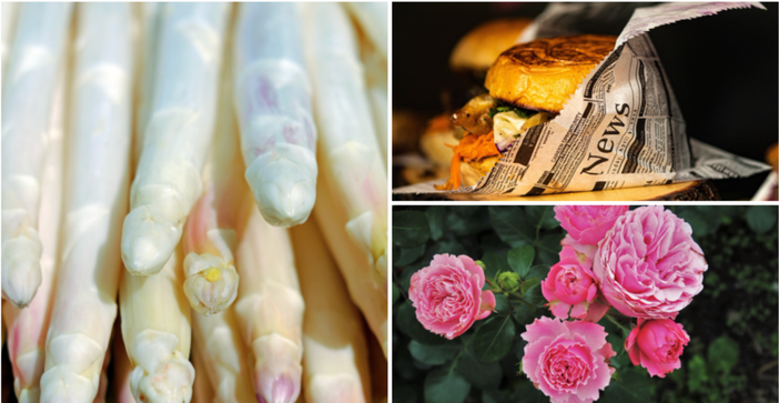 A SPASSO NEL WEEKEND. Una provincia baciata dal sole propone mille eventi: prosegue la Fiera dell'Asparago a Cantello, street food a Gavirate, sagra del cervo a Caldè e Festa delle Rose a Induno A SPASSO NEL WEEKEND. Una provincia baciata dal sole propone mille eventi: prosegue la Fiera dell'Asparago a Cantello, street food a Gavirate, sagra del cervo a Caldè e Festa delle Rose a Induno