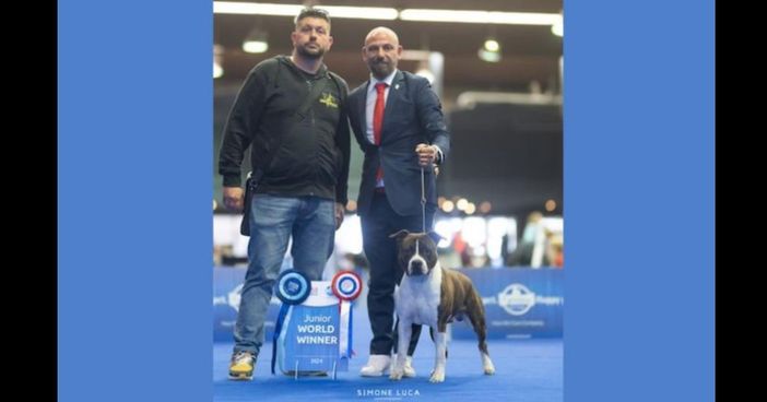 Da Brezzo di Bedero in Croazia, “Dallas” è un giovane Campione del Mondo