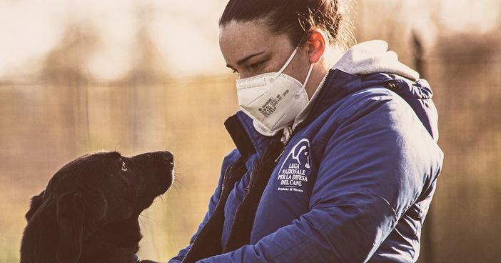 L'appello del canile: «Troppi cani con problematiche comportamentali, aiutateci ad adeguare la struttura»