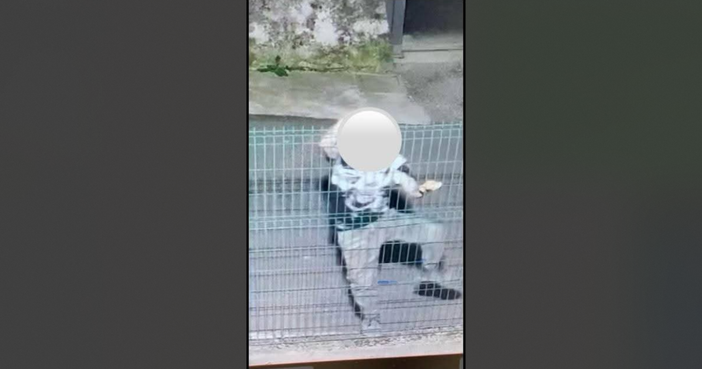 Il responsabile di furti e danneggiamenti immortalato dalla videosorveglianza (immagini diffuse dal Comune di Cavaria) Il responsabile di furti e danneggiamenti immortalato dalla videosorveglianza (immagini diffuse dal Comune di Cavaria)