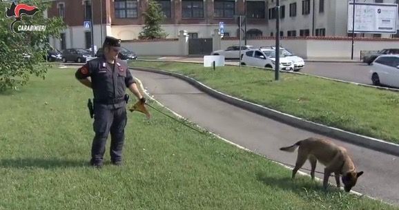 Esche avvelenate contro cani e gatti. Per scoprirle entra in azione Puma, il &quot;cane carabiniere&quot;