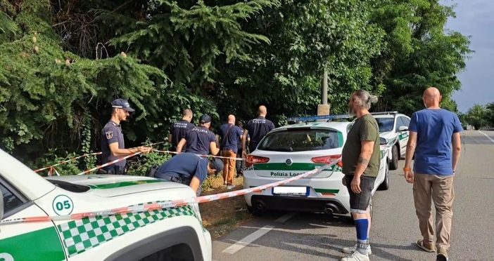 Gallarate, "cadono" gli alberi di via Curtatone Gallarate, "cadono" gli alberi di via Curtatone