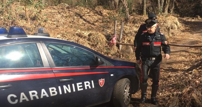 Spaccio nella "rete verde" dei boschi di Cugliate Fabiasco: due uomini arrestati dai carabinieri Spaccio nella "rete verde" dei boschi di Cugliate Fabiasco: due uomini arrestati dai carabinieri