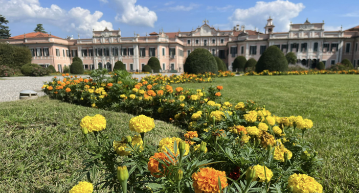 Il Comune di Varese mette all’asta 12 immobili: ci sono villette, terreni e l'ex scuola Gorini