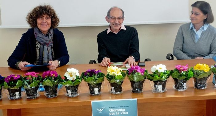 34 bimbi nati e 53 donne assistite accendono la vita al Cav 34 bimbi nati e 53 donne assistite accendono la vita al Cav