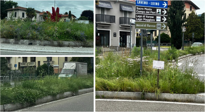 La &quot;selva oscura&quot; di viale Europa