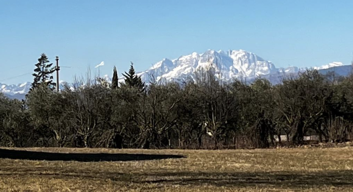 Diciassette gradi alle nove e mezza del mattino. E lo chiamano inverno Diciassette gradi alle nove e mezza del mattino. E lo chiamano inverno