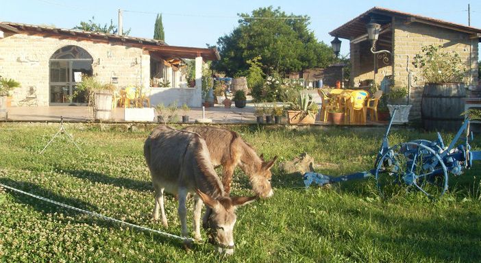 (foto d'archivio)
